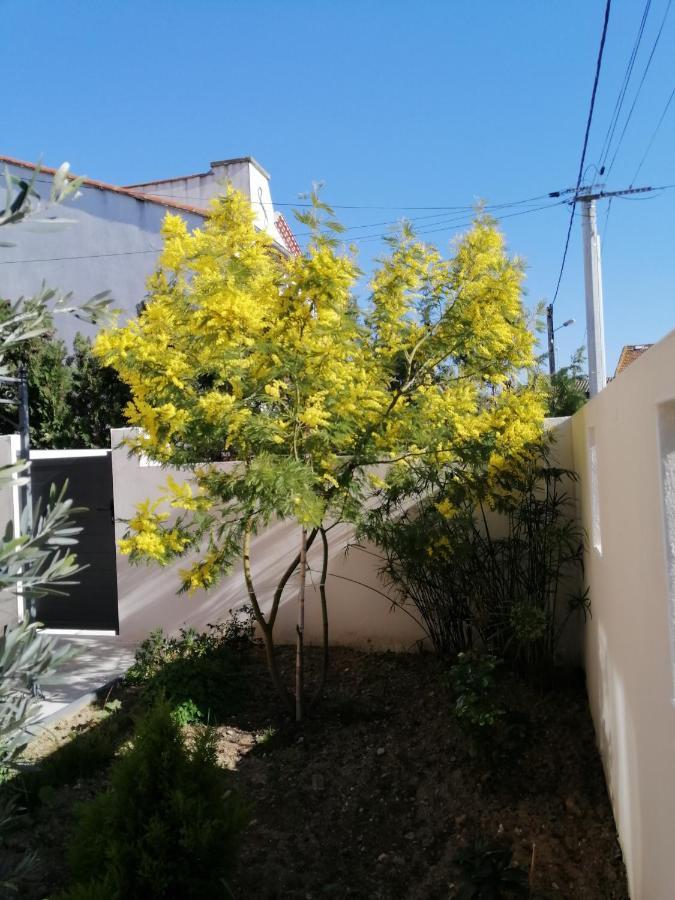 La Maison De 6Fran Appartement 2 Chaleureux Et Calme Ambiance Familiale Valros Dış mekan fotoğraf